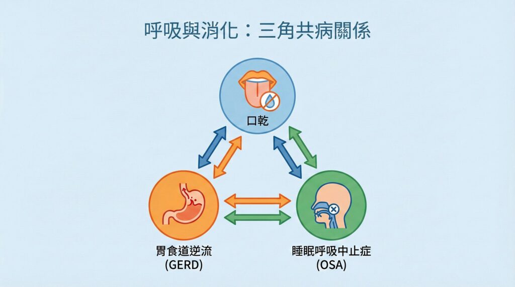 胃食道逆流示意圖